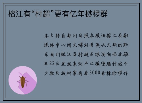 榕江有“村超”更有亿年桫椤群